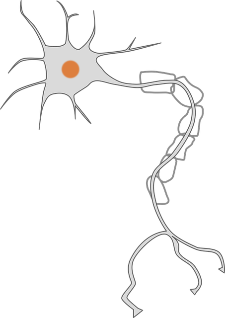 Diagnostic nerve blocks at Southern Pain and Neurological