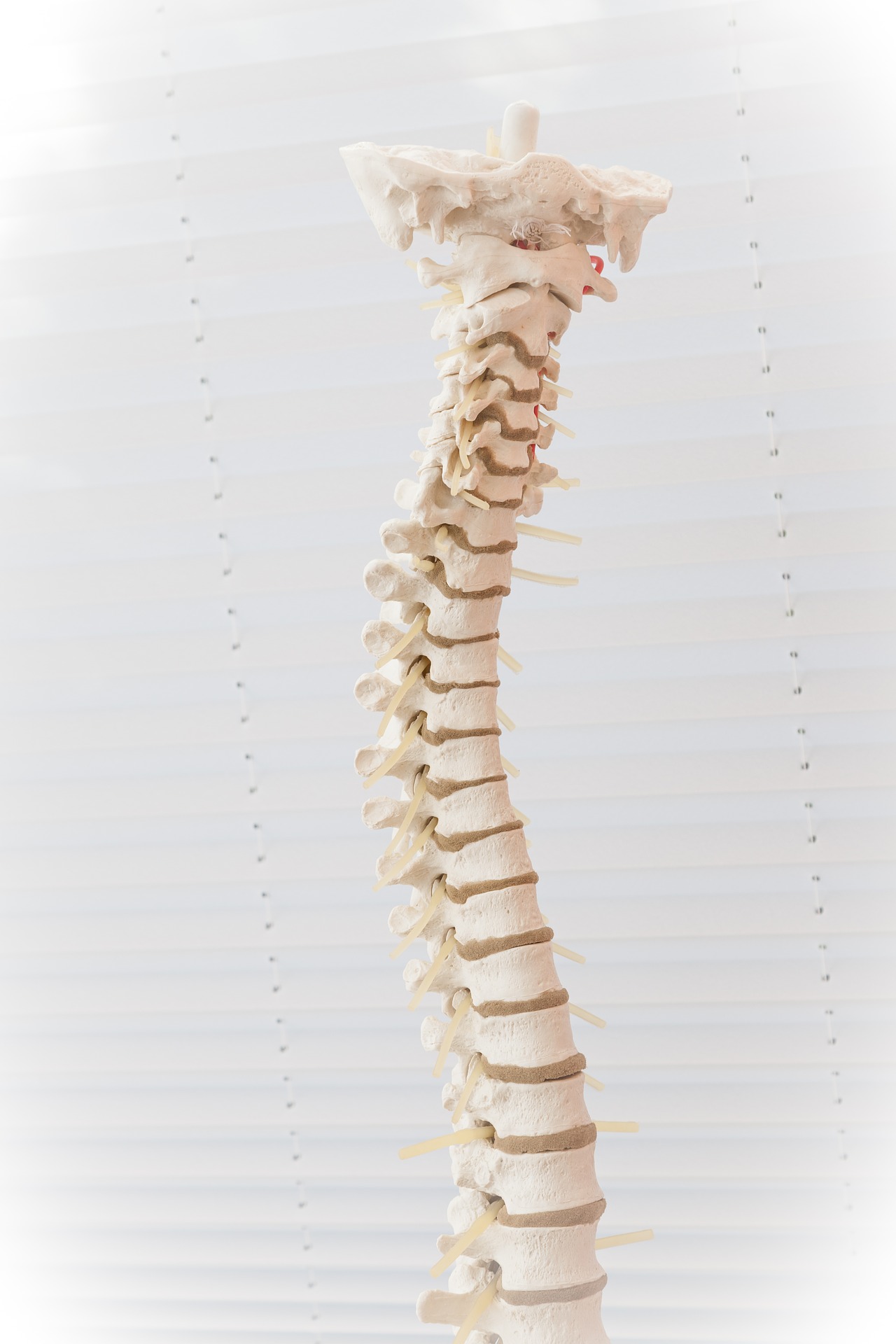 Should You Consider Spinal Cord Stimulation for Chronic Back and Neck Pain?:  Apollo Pain Management: Interventional Pain Management Specialists