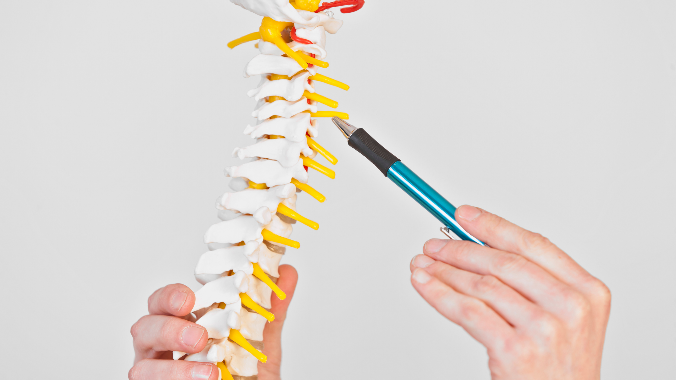 cervical facet joint injection model