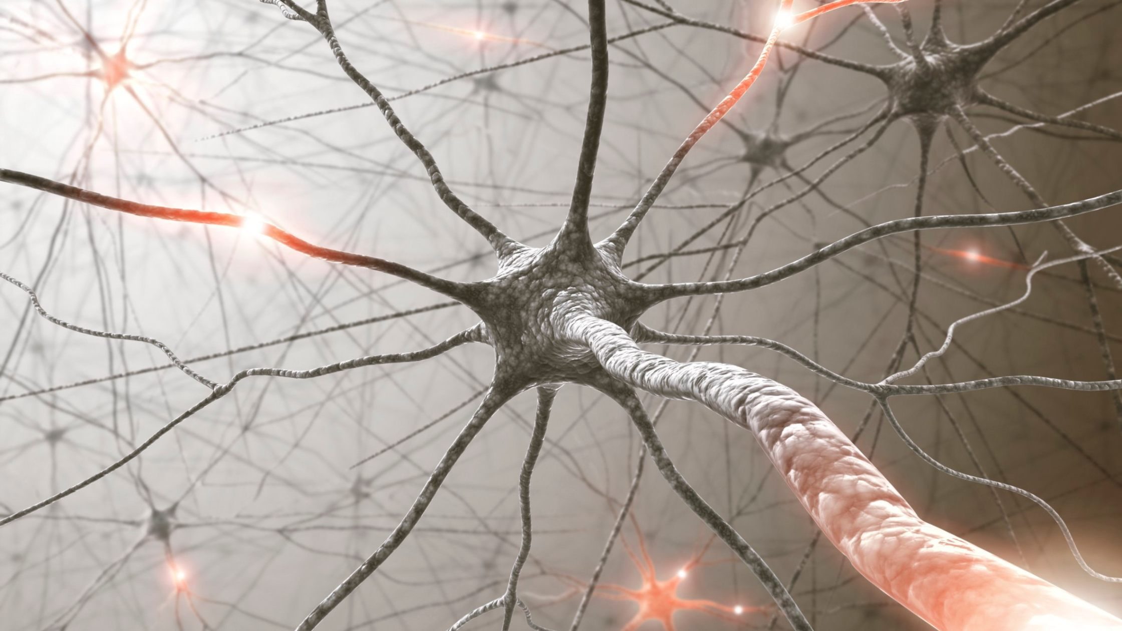 implanted nerve stimulator