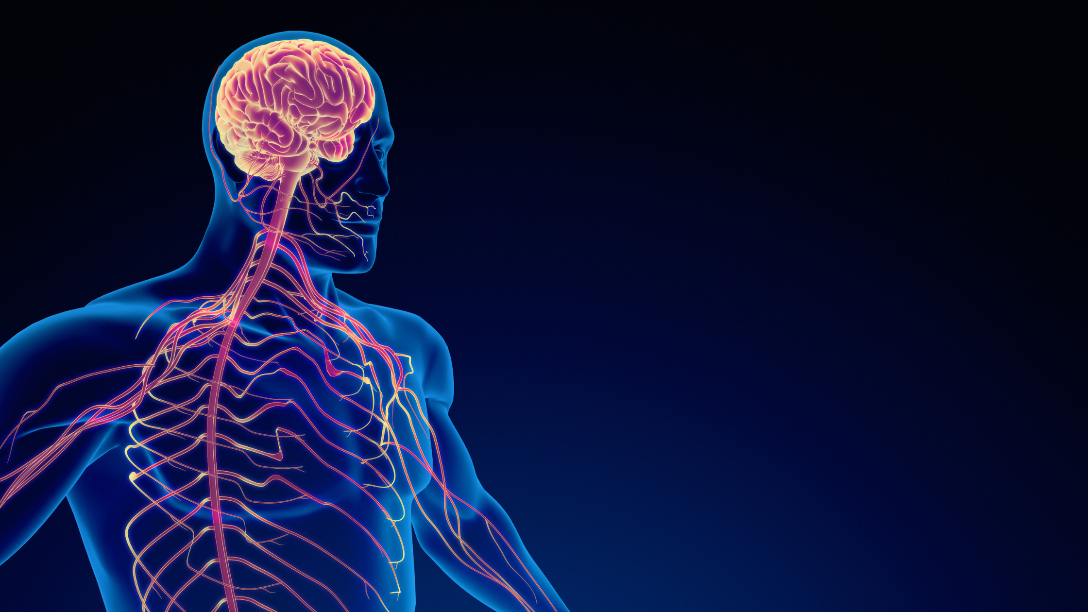 malfunctioning nervous system