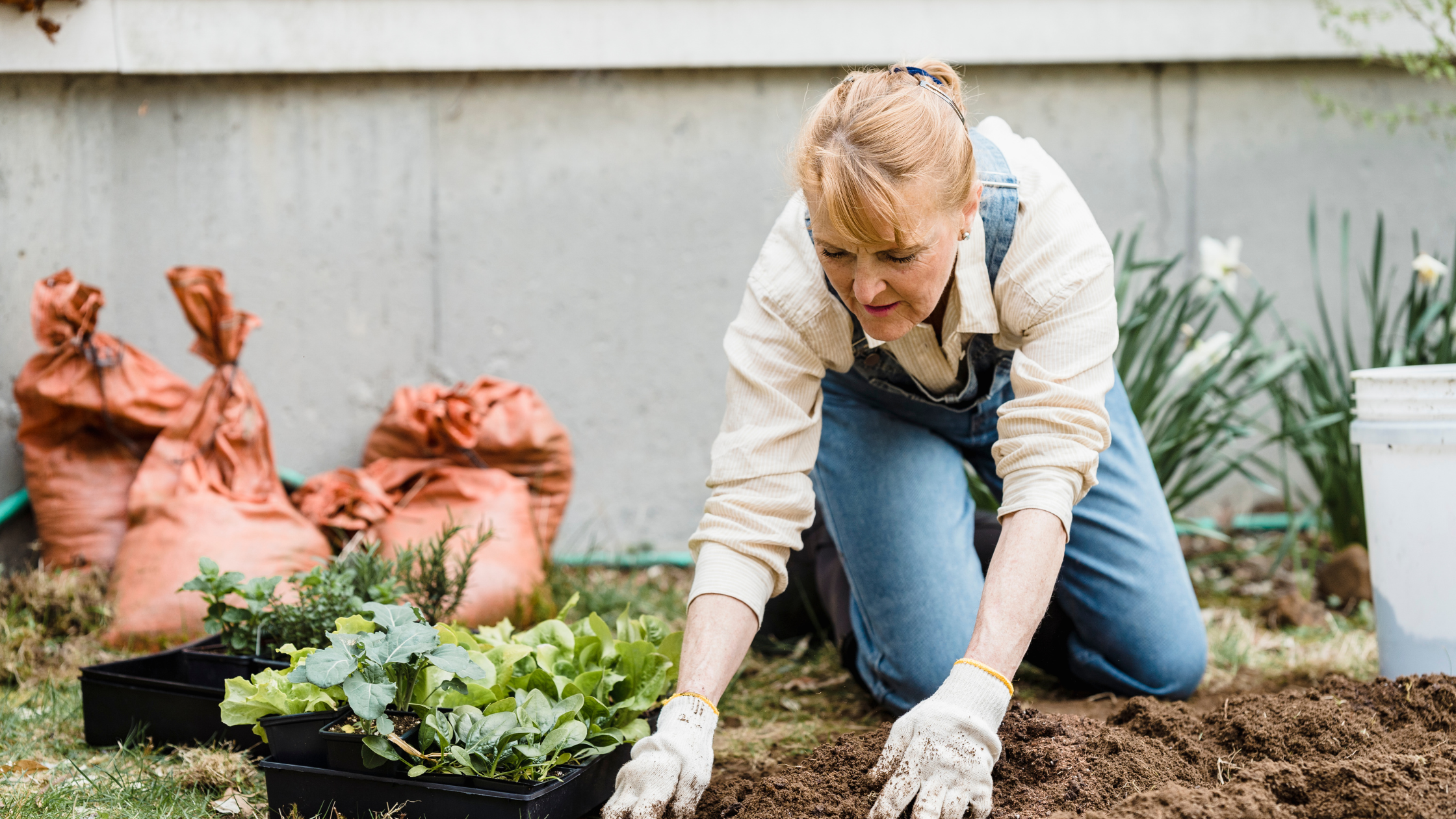 coping with knee pain in the spring