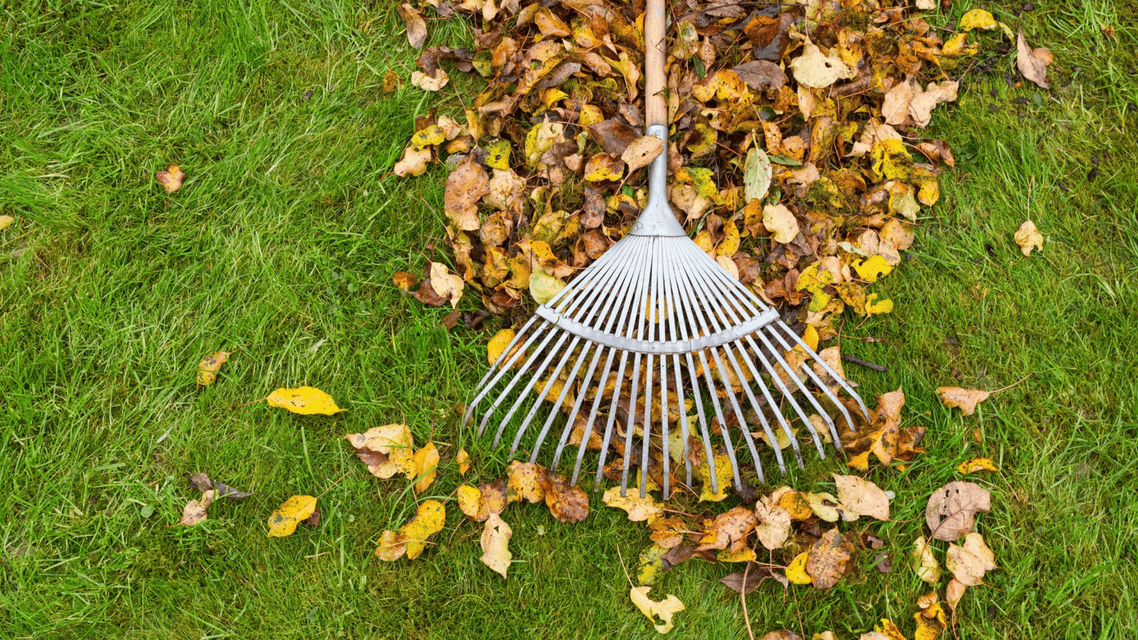 fall gardening and yard work protect your spine and joints fall gardening and yard work protect your spine and joints